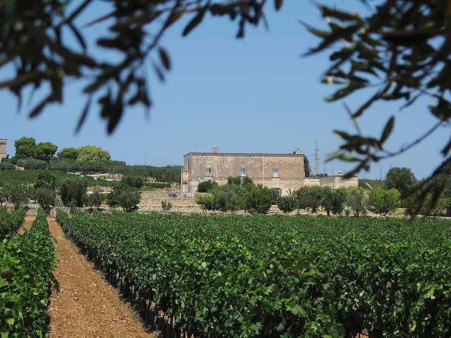 Masseria Angiulli Piccolo Contrada Angiulli 74023 Grottaglie Villa Villa Castelli Dış mekan fotoğraf